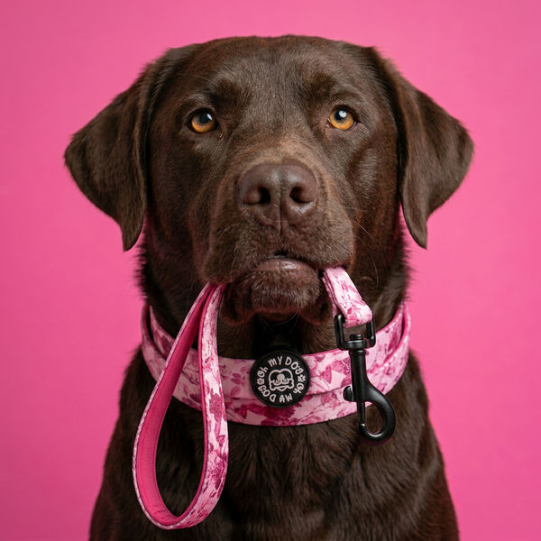 Pink Floral Dog Lead