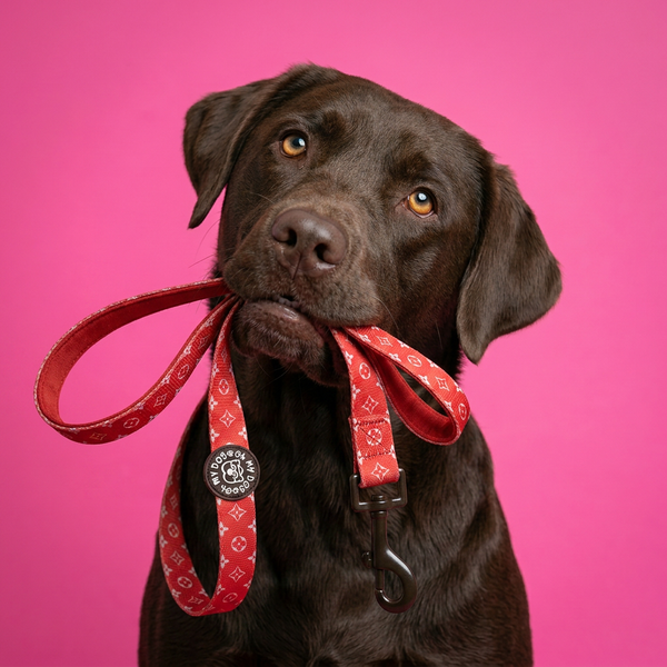 Red Monogram Dog Lead