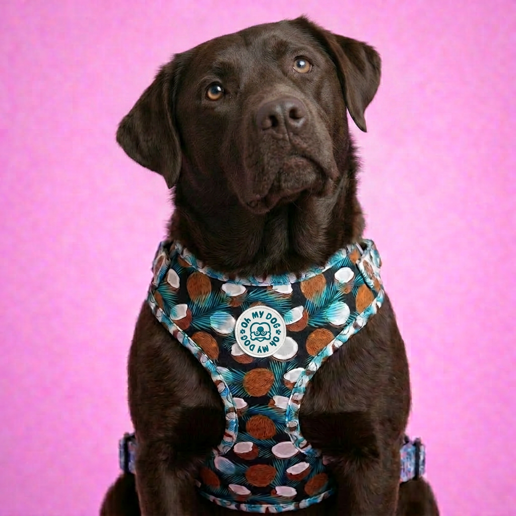 Tropical Coconut Adjustable Dog Harness