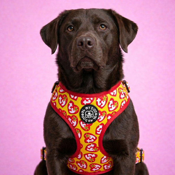 Retro Toy Inspired Adjustable Dog Harness - Yellow