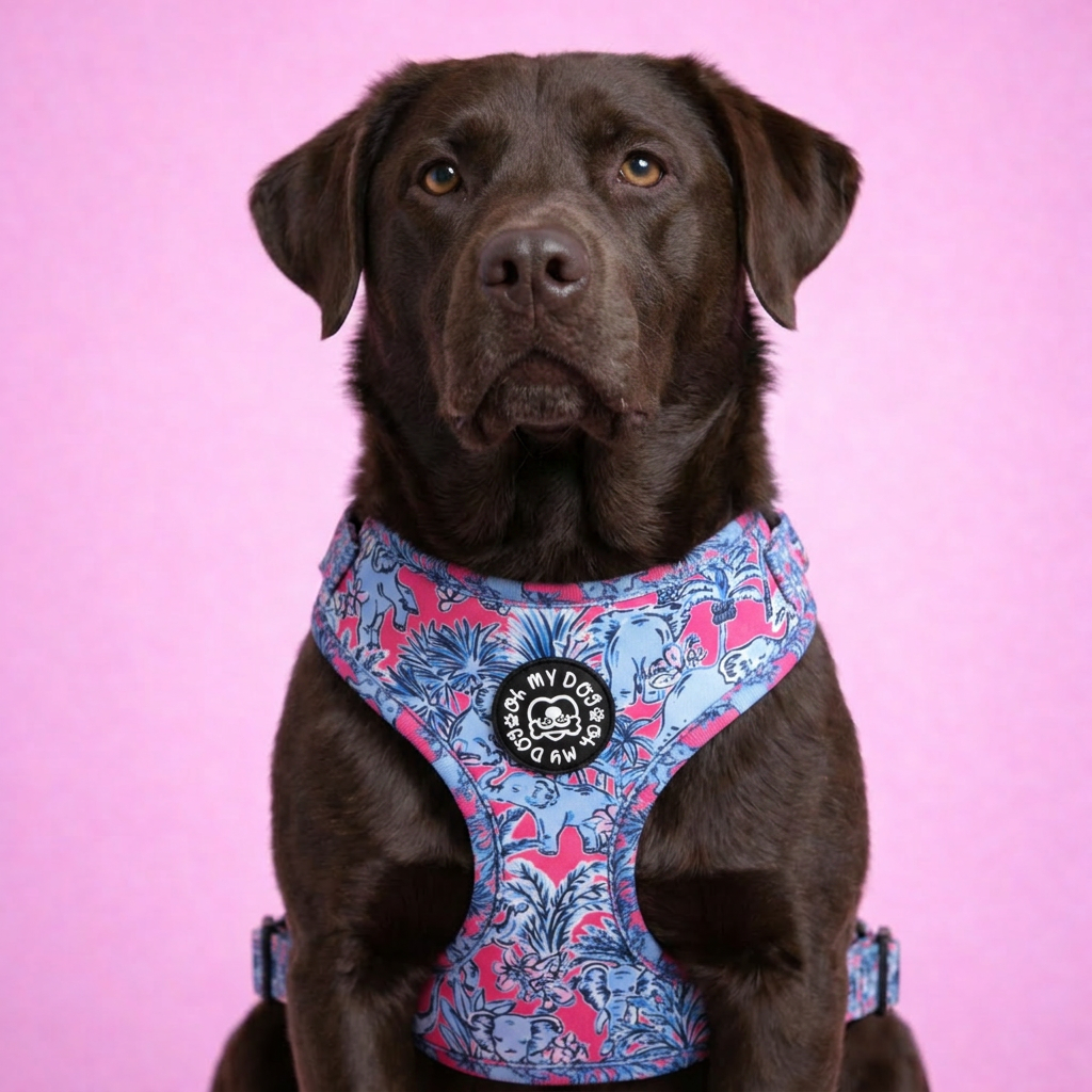 Tropical Zoo Adjustable Dog Harness - Pink & Blue