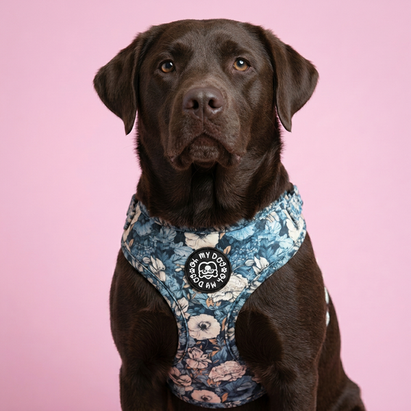 Midnight Bloom Adjustable Dog Harness - Blue Floral