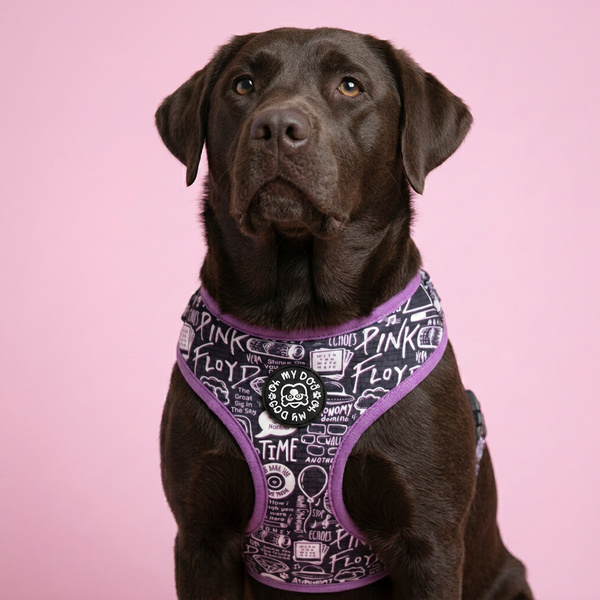 Rockstar Doodle Adjustable Dog Harness - Lilac