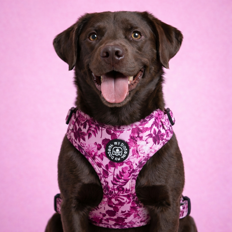 Pink Floral Adjustable Dog Harness