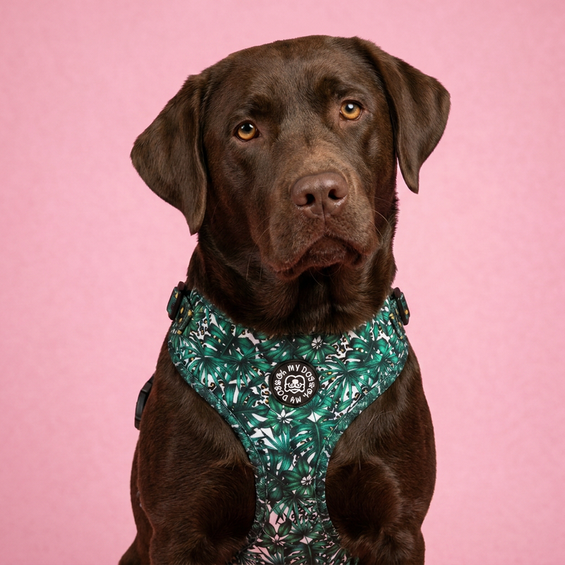 Green Tropical Adjustable Dog Harness